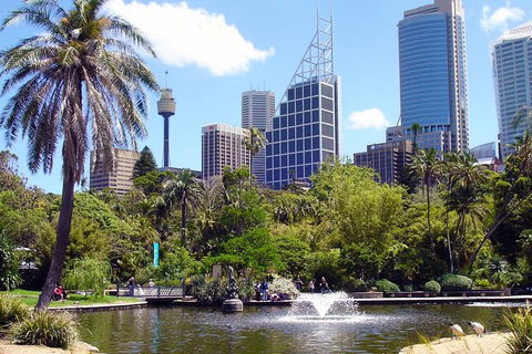 Private Sydney Half Day Tour Including Sydney Opera House And Bondi Beach - Surfers Gold Coast 4