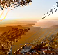O'Reilly's  Lamington National Park incl. Alpaca Farm  Vineyard - Surfers Gold Coast