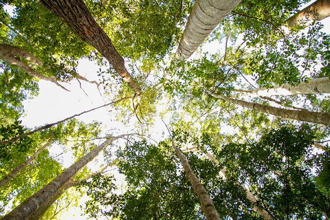 Fraser Island 4WD Tour From Noosa - Surfers Gold Coast 0