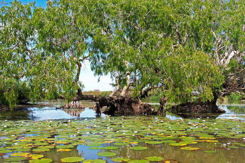 Ethical Adventures - Best In The WET - Litchfield / Kakadu 3 Day- Max 10 Guests - Surfers Gold Coast 1