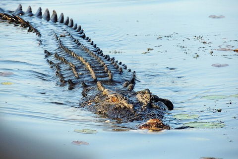Ethical Adventures - Best In The WET - Litchfield / Kakadu 3 Day- Max 10 Guests - Surfers Gold Coast 4