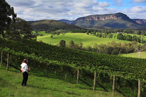 Private Blue Mountains And Winery Day-Trip From Sydney - Surfers Gold Coast 2