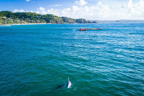 The Byron Bay Sea Kayak Tour - Surfers Gold Coast 2