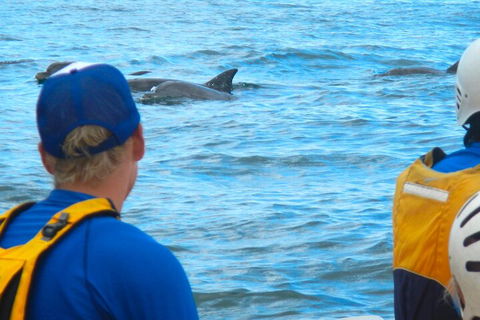 The Byron Bay Sea Kayak Tour - Surfers Gold Coast 4