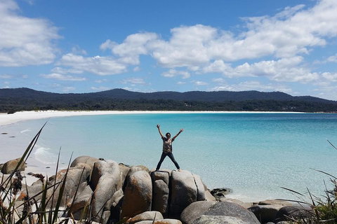 Tasmania 4 Day East Coast + Launceston - Surfers Gold Coast 1
