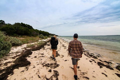 Phillip Island And French Island Wildlife Expedition - Surfers Gold Coast 1