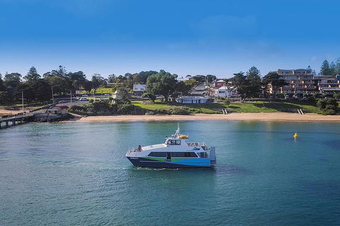 Phillip Island And French Island Wildlife Expedition - Surfers Gold Coast 2