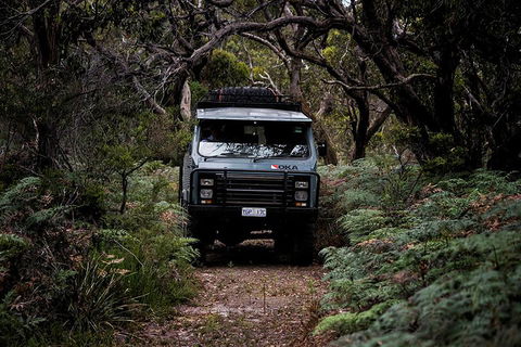 Phillip Island And French Island Wildlife Expedition - Surfers Gold Coast 4
