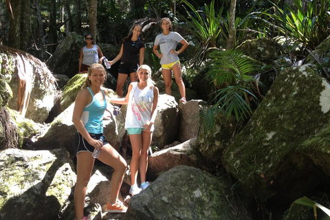 Byron Bay Hinterland Tour Including Rainforest Walk To Minyon Falls - Surfers Gold Coast 3