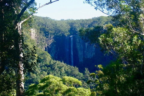 Byron Bay Hinterland Tour Including Rainforest Walk To Minyon Falls - Surfers Gold Coast 4