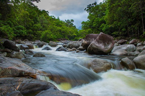 Cape Tribulation Day Tour - Surfers Gold Coast 0