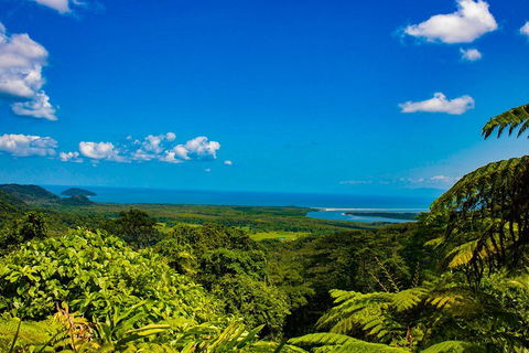 Cape Tribulation Day Tour - Surfers Gold Coast 3