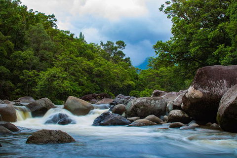 Cape Tribulation Day Tour - Surfers Gold Coast 4