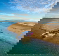 Town of 1770 Afternoon Cruise - Surfers Gold Coast