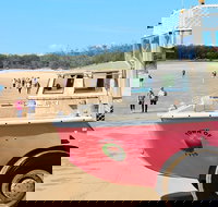 1770 Coastline Tour by LARC Amphibious Vehicle Including Picnic Lunch - Surfers Gold Coast