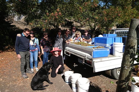 Valleys Of Vino Tour - Surfers Gold Coast 1