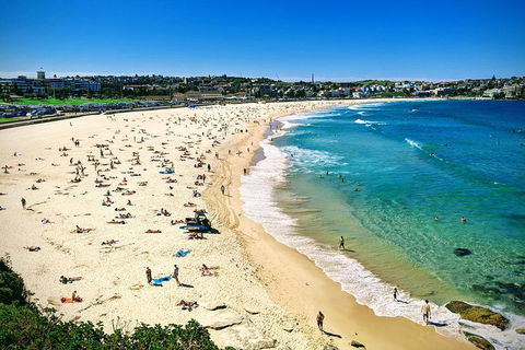 Sydney & Bondi Beach Plus Local Secrets With 'Personalised Sydney Tours' - Surfers Gold Coast 5