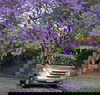 Sydney Secrets  Bondi Beach Private 4 Hr Morning with Personalised Sydney Tours - Surfers Gold Coast