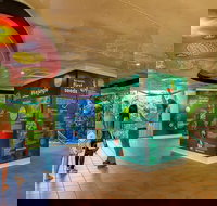 Skyrail  Kuranda Train Day Trip from Cairns - Surfers Gold Coast