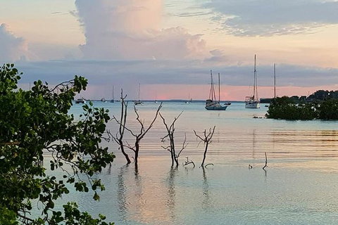 Tropical Light Sundowner Cruise With Drinks Included - Surfers Gold Coast 2