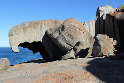 Kangaroo Island Personal Group Tours - Surfers Gold Coast 2
