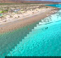 Ningaloo in a Day - Full Day Hike and Snorkel Tour with Lunch - Surfers Gold Coast