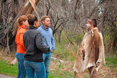 Blue Mountains Tour From Sydney With An Aboriginal Experience - Surfers Gold Coast 3