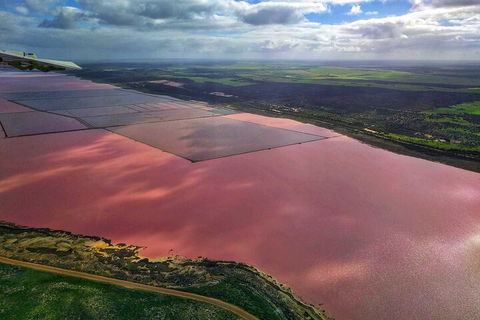 Kalbarri, Pink Lake And Abrolhos Islands Nature Tour - Surfers Gold Coast 1