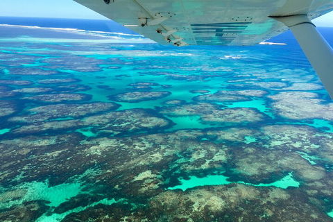 Kalbarri, Pink Lake And Abrolhos Islands Nature Tour - Surfers Gold Coast 5