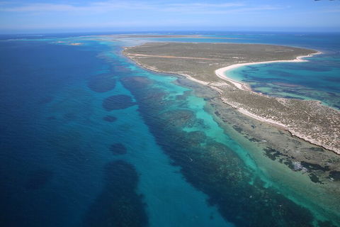 Pink Lake + Abrolhos Islands Scenic Flight - Surfers Gold Coast 0