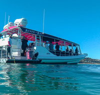 Best of Moreton Bay Cruise - Surfers Gold Coast
