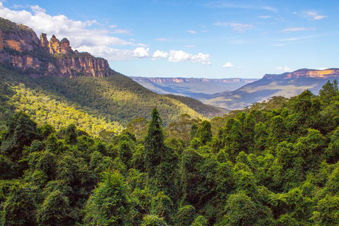 Blue Mountains Nature And Wildlife Day Tour From Sydney - Surfers Gold Coast 1