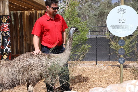 Blue Mountains Nature And Wildlife Day Tour From Sydney - Surfers Gold Coast 5