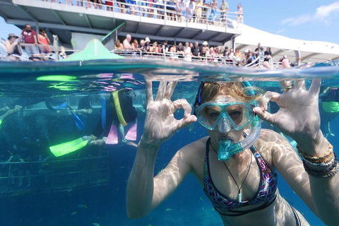 Great Barrier Reef Day Cruise From Cairns Including Snorkeling And Marine Biologist Presentation - Surfers Gold Coast 0