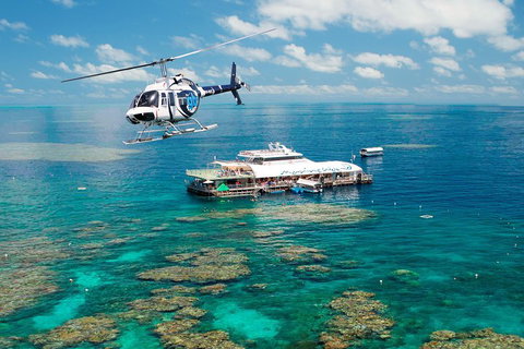 Great Barrier Reef Day Cruise From Cairns Including Snorkeling And Marine Biologist Presentation - Surfers Gold Coast 5