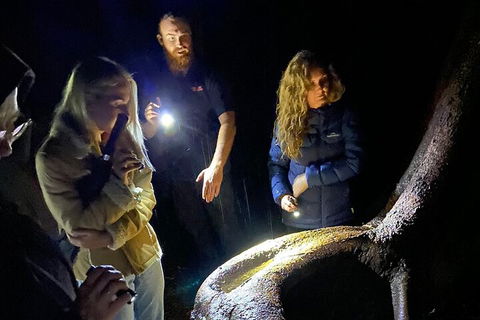 Evening Rainforest & Glow Worm Experience - Surfers Gold Coast 2