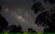 Evening Rainforest & Glow Worm Experience - thumb 4