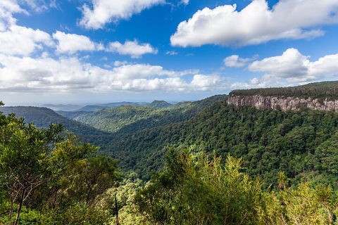 Natural Bridge & Springbrook Waterfalls Tour - Surfers Gold Coast 1