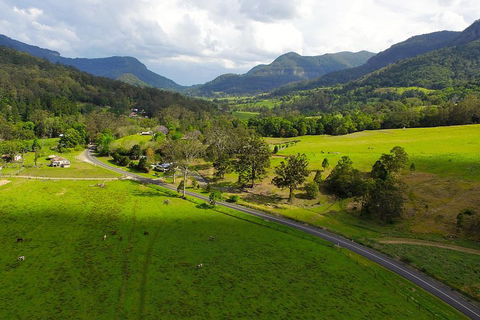 Natural Bridge & Springbrook Waterfalls Tour - Surfers Gold Coast 2