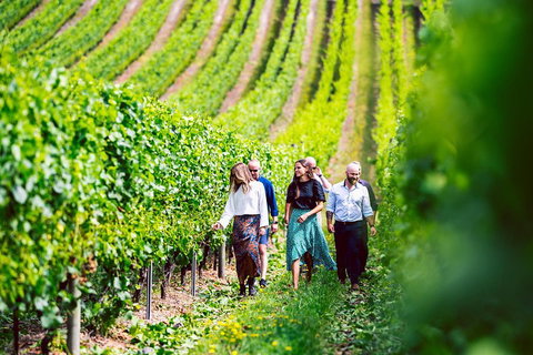 Tasmanian Wine Tour - Surfers Gold Coast 0