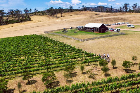 Tasmanian Wine Tour - Surfers Gold Coast 3