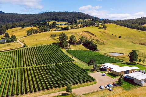 Tasmanian Wine Tour - Surfers Gold Coast 4