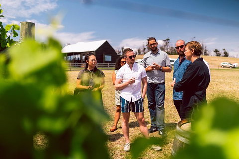 Tasmanian Wine Tour - Surfers Gold Coast 5