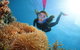 Quicksilver Outer Great Barrier Reef Snorkel Cruise From Port Douglas - thumb 2