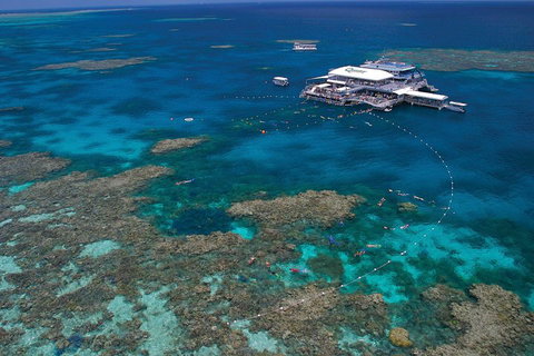 Quicksilver Outer Great Barrier Reef Snorkel Cruise From Port Douglas - Surfers Gold Coast 3