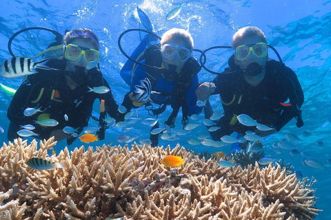 Quicksilver Outer Great Barrier Reef Snorkel Cruise From Port Douglas - Surfers Gold Coast 4