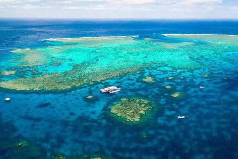 Quicksilver Outer Great Barrier Reef Snorkel Cruise From Port Douglas - Surfers Gold Coast 5