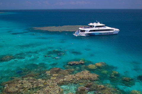 Silversonic Outer Great Barrier Reef Dive And Snorkel Cruise From Port Douglas - Surfers Gold Coast 2