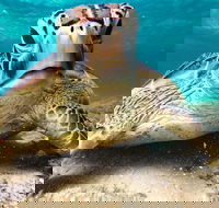 Sail Snorkel SUP  Kayak Charter Whitsundays - Surfers Gold Coast