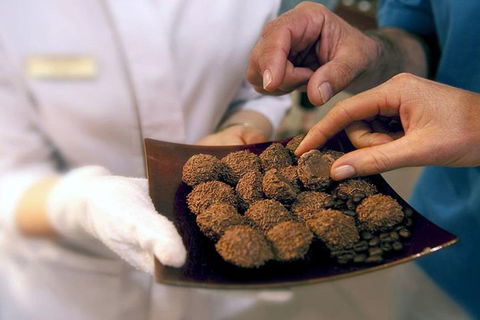 Explore Adelaide City Tour: Haigh's Tasting Chocolate & Adelaide Oval Tour - Surfers Gold Coast 2